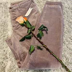 Anthropologie Pilcro pants